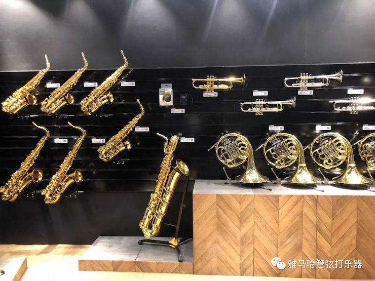黄金城集团乐器 试奏乐器