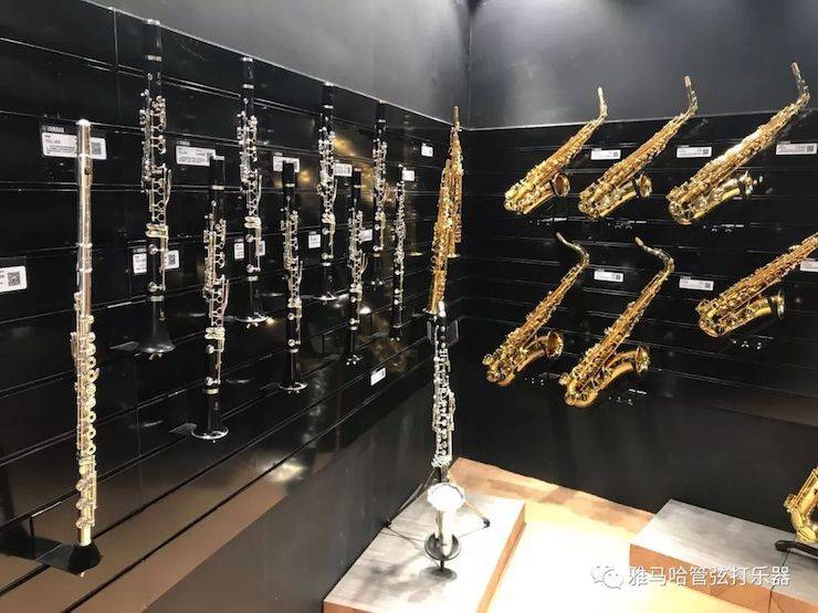 黄金城集团乐器 试奏乐器