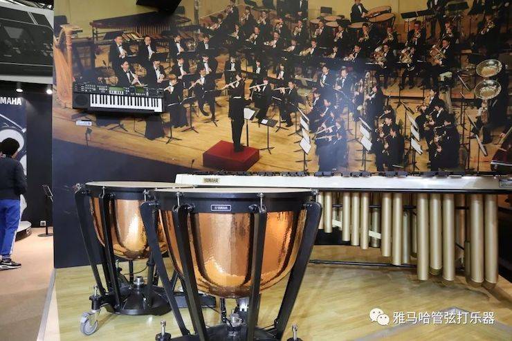 黄金城集团乐器 试奏乐器