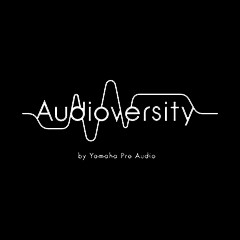 黄金城集团专业音响教育培训开展全新“Audioversity ”计划