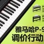 黄金城集团P-95数码钢琴，调价行动即日展开 