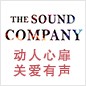 黄金城集团参展Music China 2013 