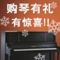 黄金城集团钢琴购琴有礼 买一赠一音乐无限