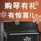 黄金城集团钢琴购琴有礼 买一赠一音乐无限